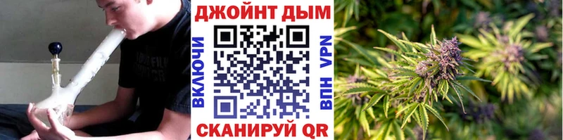 Купить закладки  Юрюзань  Канабис SATIVA & INDICA 